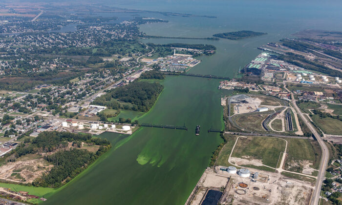 Harmful algae form green streaks at the mouth of the Maumee River as it empties into Lake Erie at Toledo in September 2017. Photo courtesy of Zachary Haslick, Aerial Associates Photography, Inc.