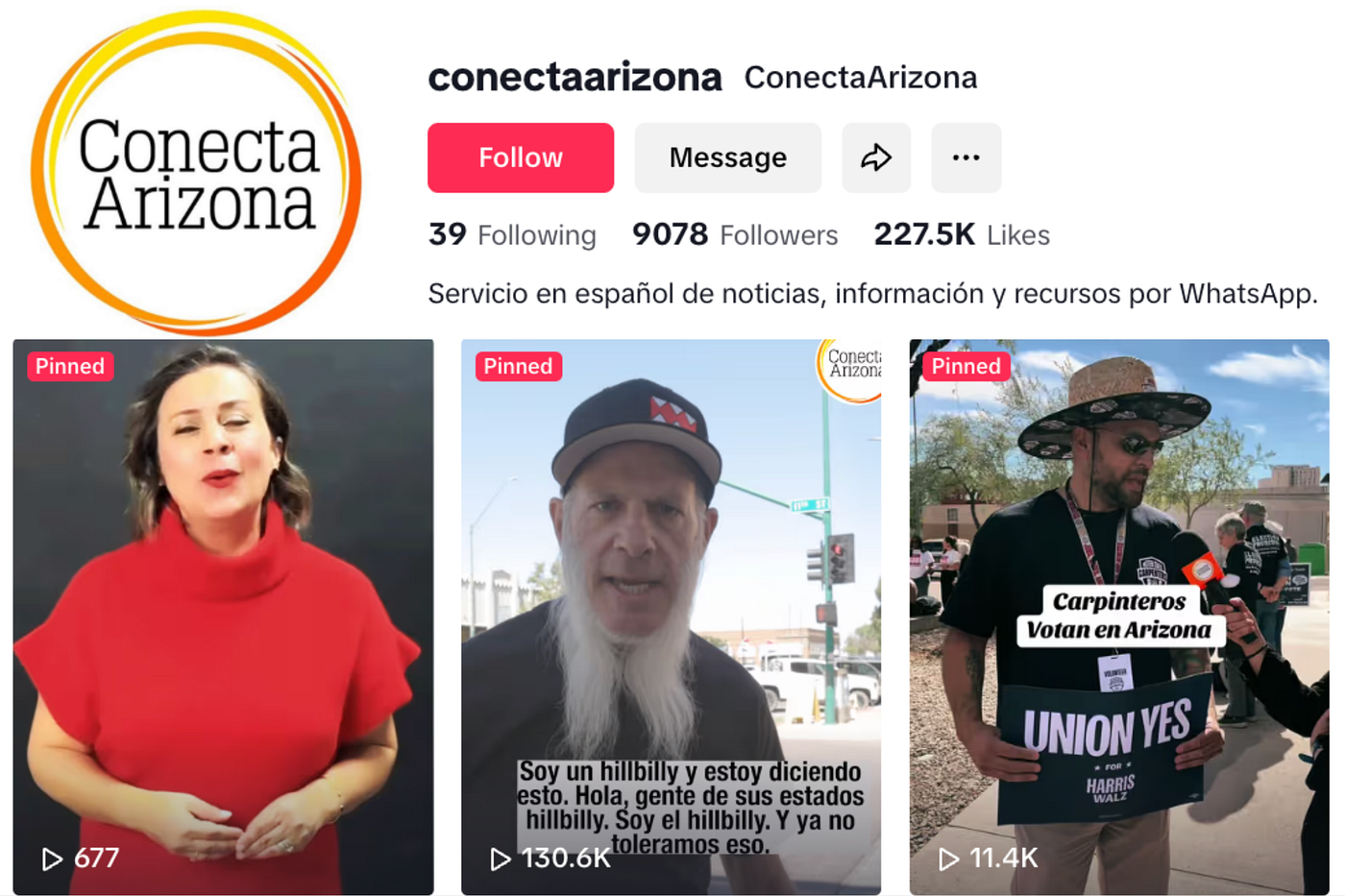 This is a screengrab of Conecta Arizona’s TikTok page and includes pinned posts that garnered record views for the nonprofit publication.