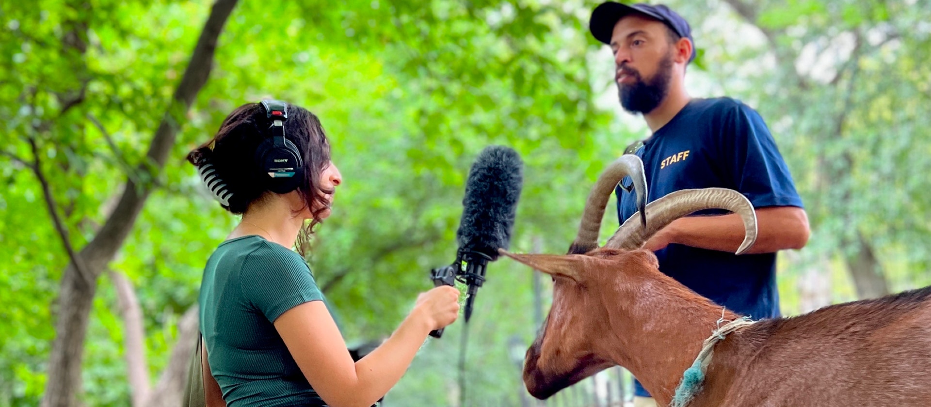 Woman holding microphone interviewing man in hat with goat